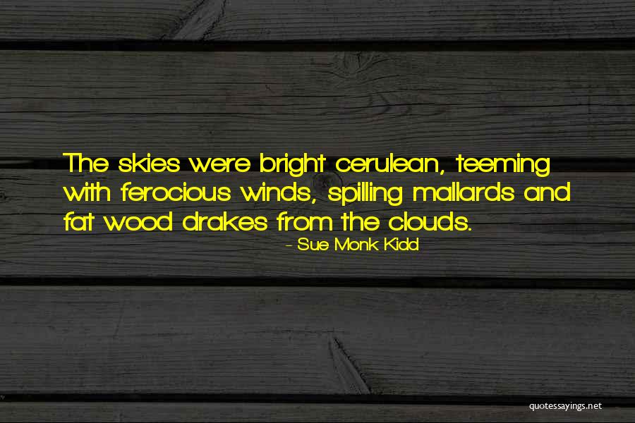 Ashkanani Kuwait Quotes By Sue Monk Kidd Ashkanani Kuwait Quotes By Sue Monk Kidd