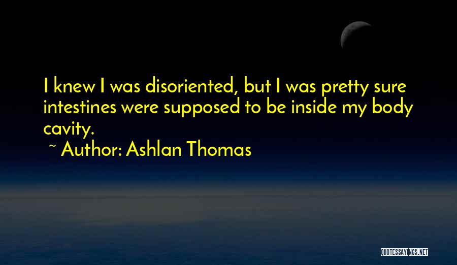 Ashlan Thomas Quotes 1484863