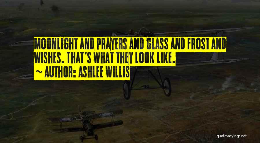 Ashlee Willis Quotes 2103194