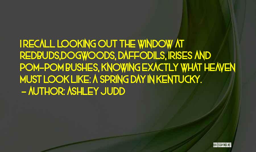 Ashley Judd Quotes 1169429