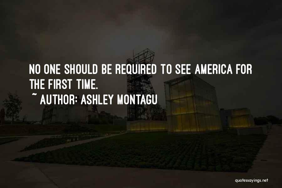 Ashley Montagu Quotes 1249077