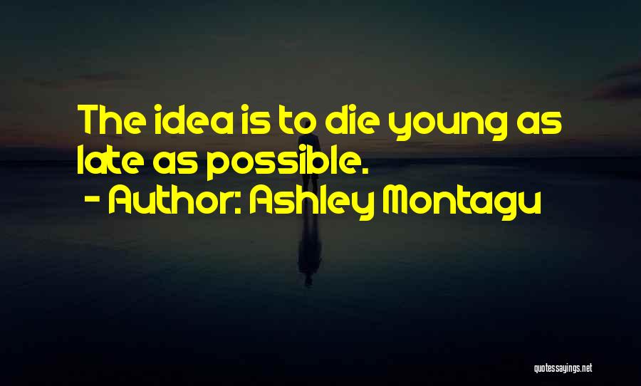 Ashley Montagu Quotes 1592030