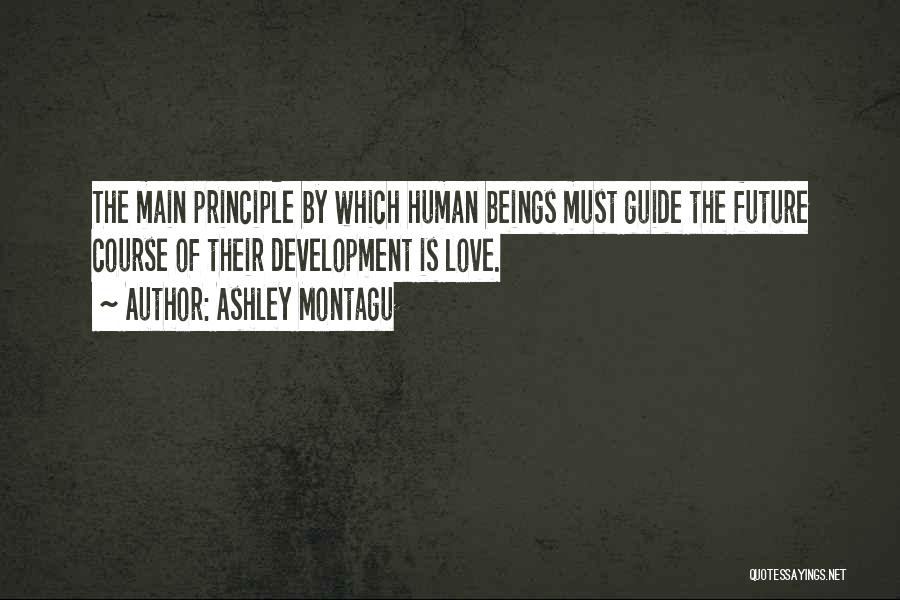 Ashley Montagu Quotes 331181
