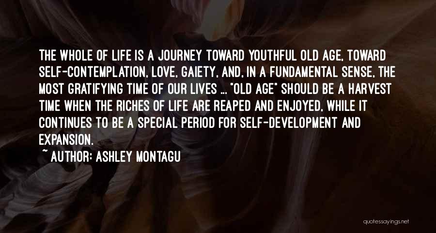 Ashley Montagu Quotes 920143
