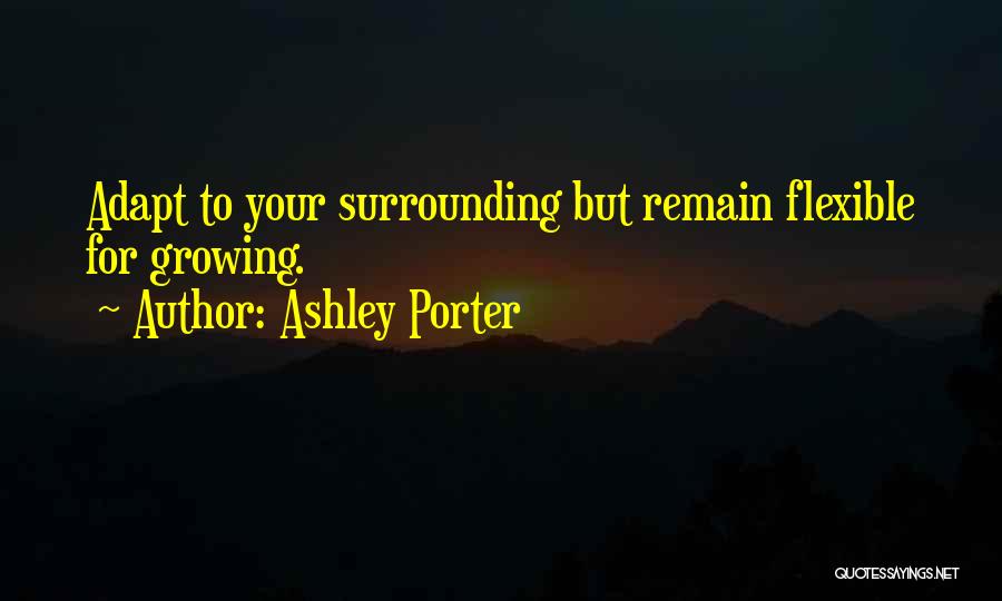 Ashley Porter Quotes 1008887