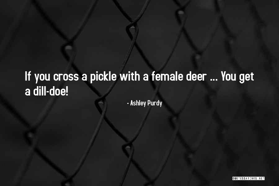 Ashley Purdy Quotes 1313354