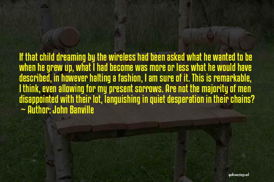 Ashmunella Quotes By John Banville