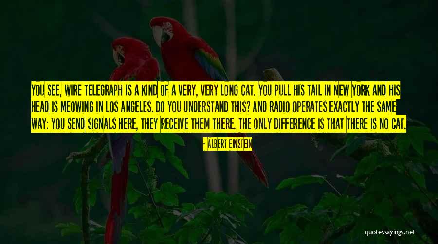 Ashourina Kooktapeh Quotes By Albert Einstein Ashourina Kooktapeh Quotes By Albert Einstein