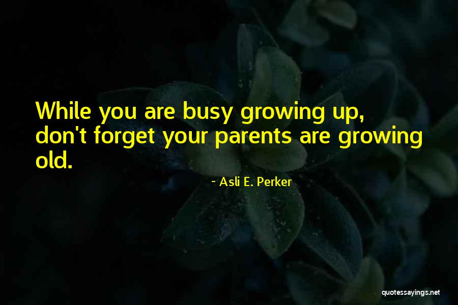 Ashqari Quotes By Asli E. Perker Ashqari Quotes By Asli E. Perker
