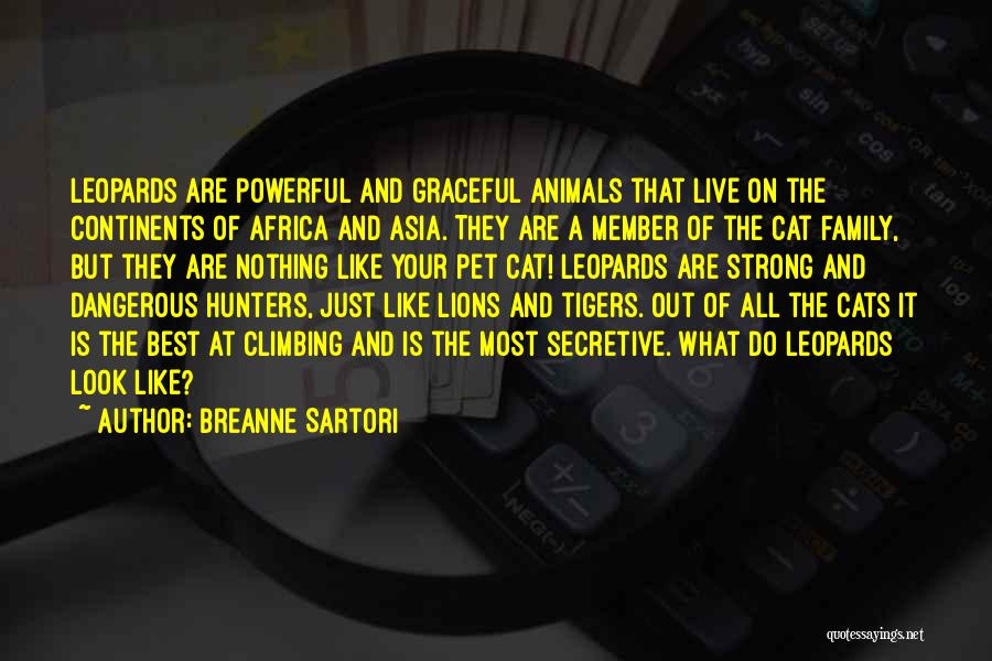 Asia Africa Quotes By Breanne Sartori