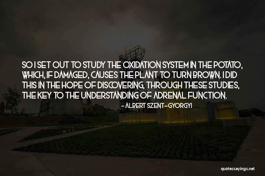 Asiaticus Ranunculus Quotes By Albert Szent-Gyorgyi Asiaticus Ranunculus Quotes By Albert Szent-Gyorgyi