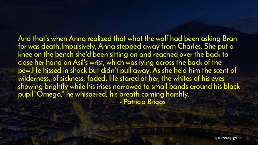 Asil Quotes By Patricia Briggs Asil Quotes By Patricia Briggs