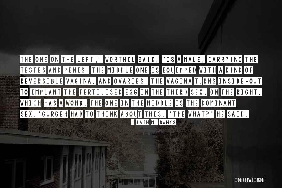 Asineth Checkn1x Quotes By Iain M. Banks Asineth Checkn1x Quotes By Iain M. Banks