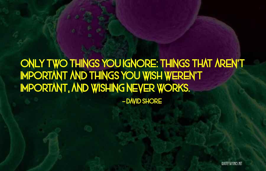Ask Again Later Quotes By David Shore