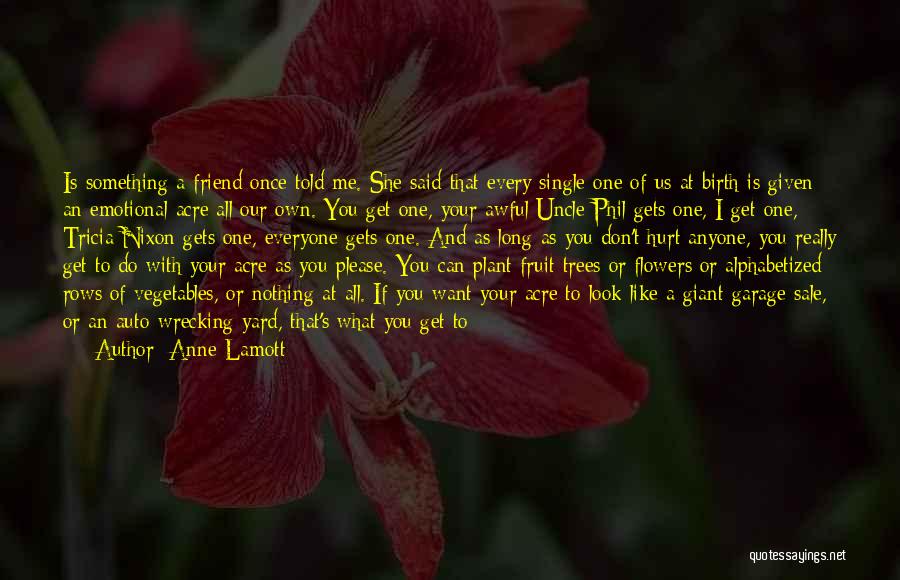 Ask And It Is Given Quotes By Anne Lamott