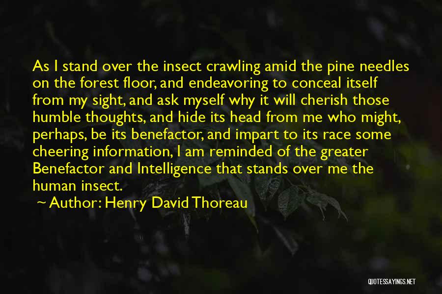 Ask God Why Quotes By Henry David Thoreau