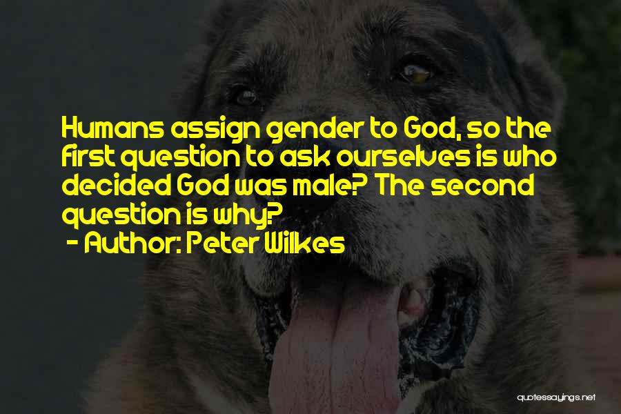 Ask God Why Quotes By Peter Wilkes