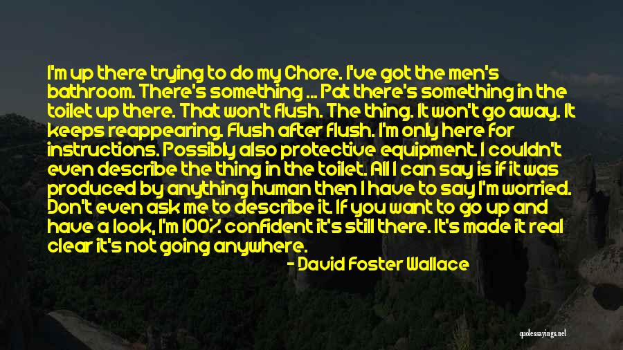 Ask Me Anything Quotes By David Foster Wallace