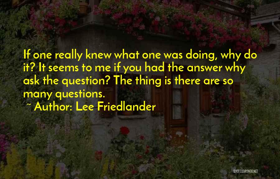 Ask Me Question Quotes By Lee Friedlander