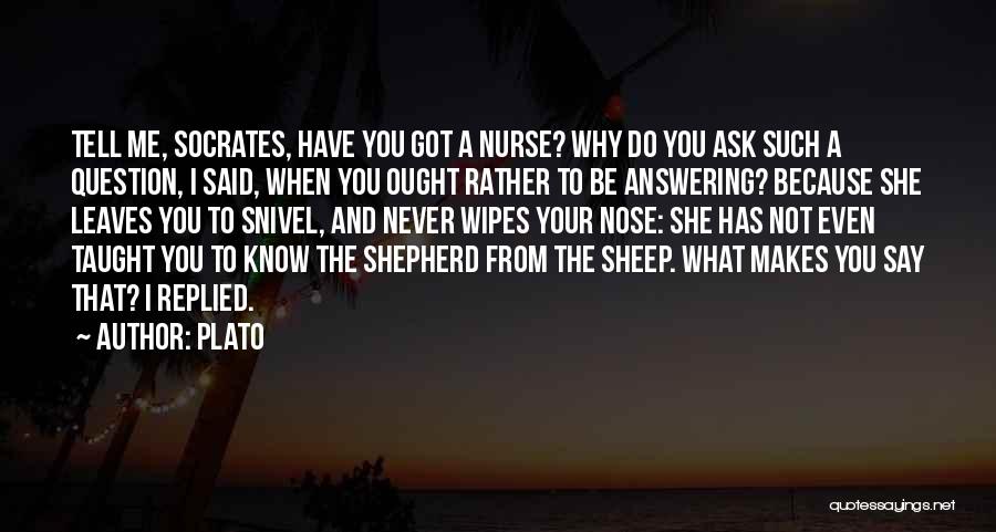 Ask Me Question Quotes By Plato