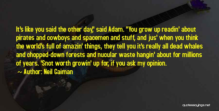 Ask My Opinion Quotes By Neil Gaiman