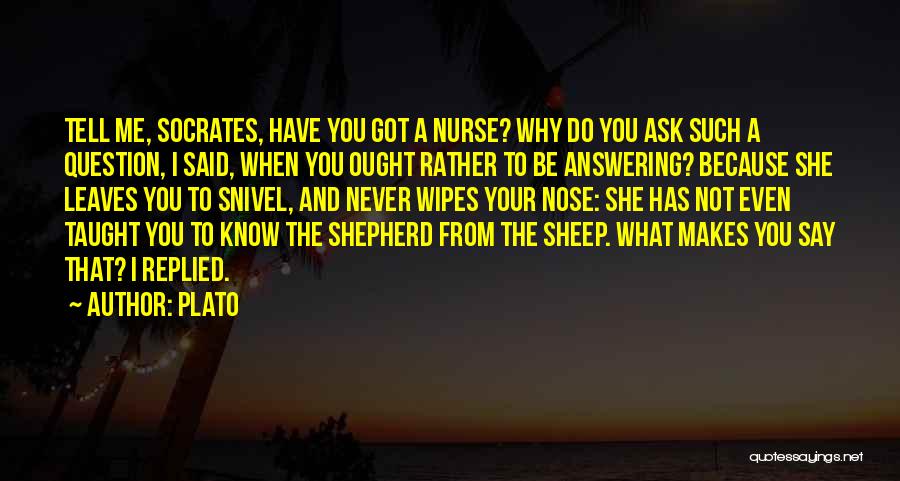 Ask The Question Quotes By Plato