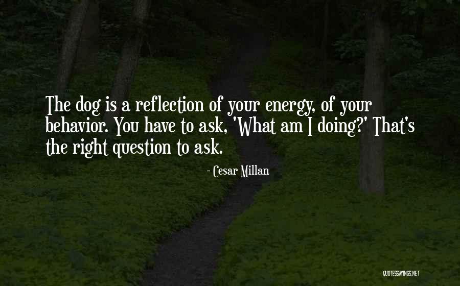Ask The Right Question Quotes By Cesar Millan Ask The Right Question Quotes By Cesar Millan