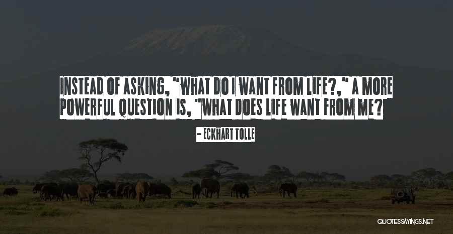 Asking Question Quotes By Eckhart Tolle Asking Question Quotes By Eckhart Tolle