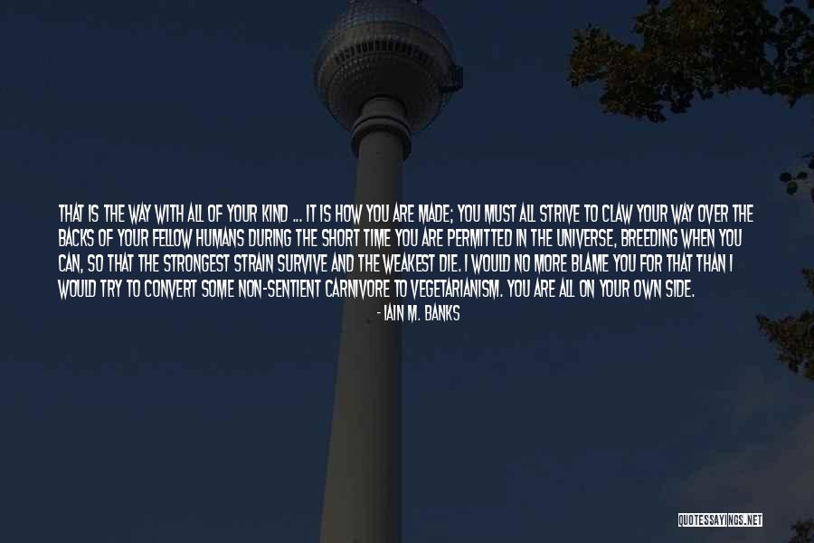 Askinosie Peppermint Quotes By Iain M. Banks Askinosie Peppermint Quotes By Iain M. Banks