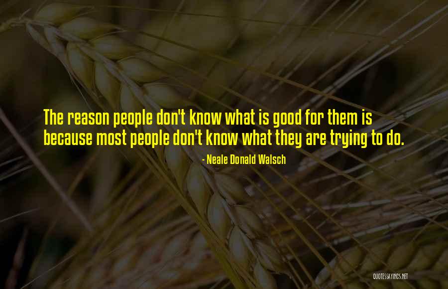 Askins Cremation Quotes By Neale Donald Walsch Askins Cremation Quotes By Neale Donald Walsch