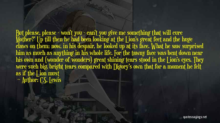 Aslan The Lion Quotes By C.S. Lewis