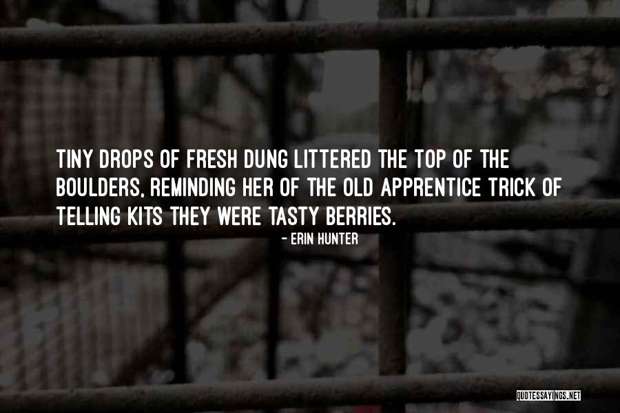 Aslandticos Quotes By Erin Hunter Aslandticos Quotes By Erin Hunter