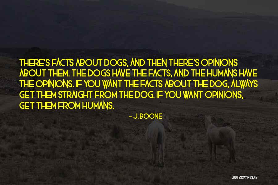 Aslanyan Kevin Quotes By J. Boone Aslanyan Kevin Quotes By J. Boone