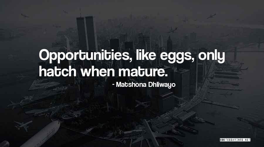 Asliye Hukuk Quotes By Matshona Dhliwayo Asliye Hukuk Quotes By Matshona Dhliwayo