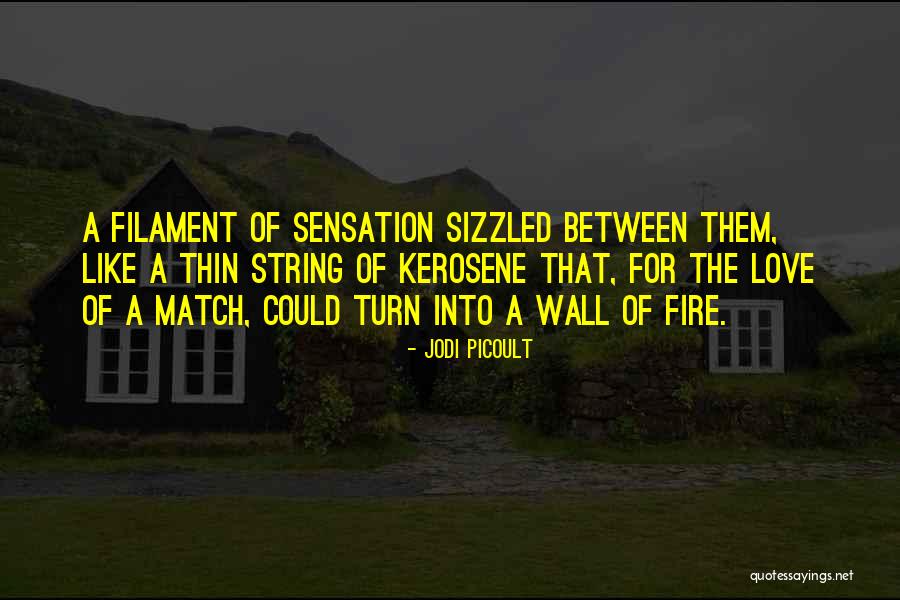 Asmahan Singer Quotes By Jodi Picoult Asmahan Singer Quotes By Jodi Picoult