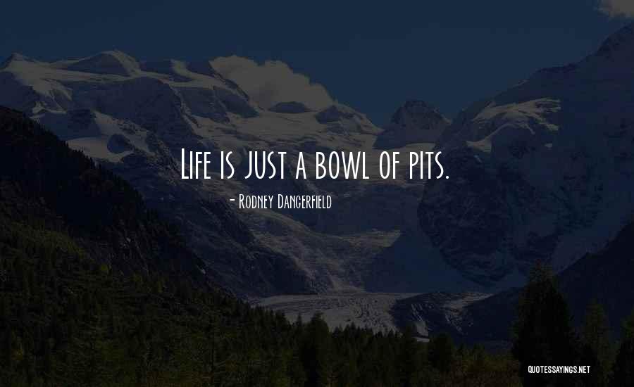 Asmath Quotes By Rodney Dangerfield Asmath Quotes By Rodney Dangerfield