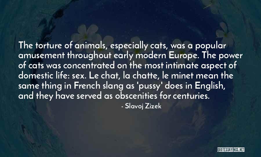 Aspect Quotes By Slavoj Zizek Aspect Quotes By Slavoj Zizek