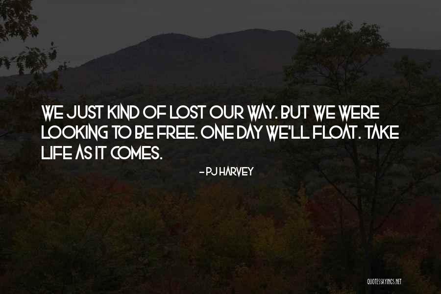 Aspects Hummingbird Quotes By PJ Harvey Aspects Hummingbird Quotes By PJ Harvey