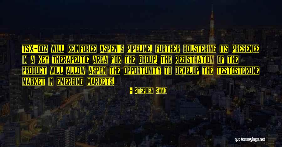 Aspen Co Quotes By Stephen Saad Aspen Co Quotes By Stephen Saad