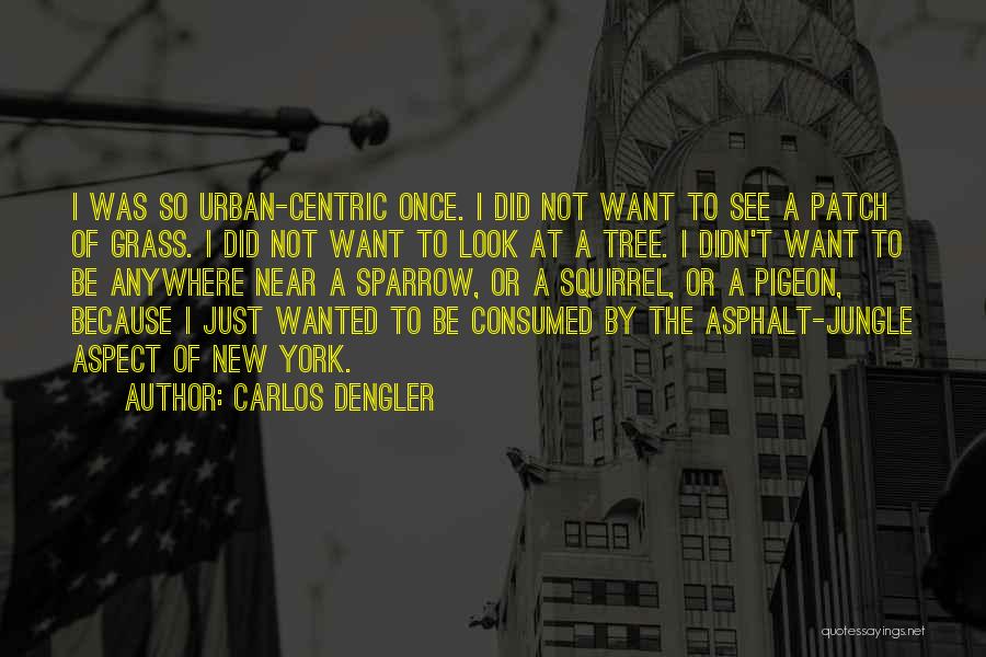 Asphalt Jungle Quotes By Carlos Dengler