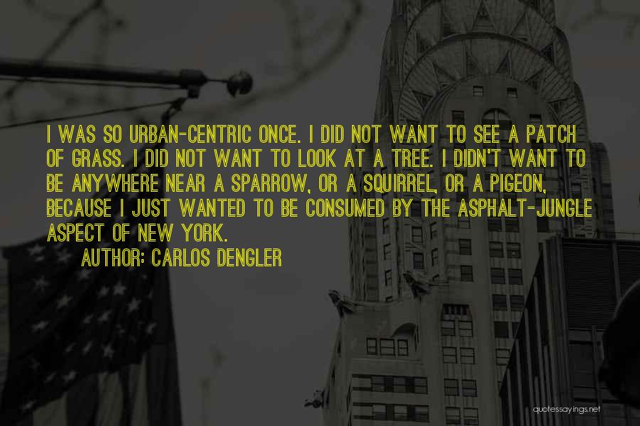 Asphalt Quotes By Carlos Dengler