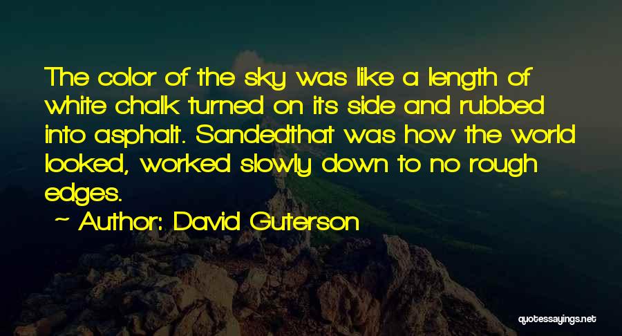 Asphalt Quotes By David Guterson