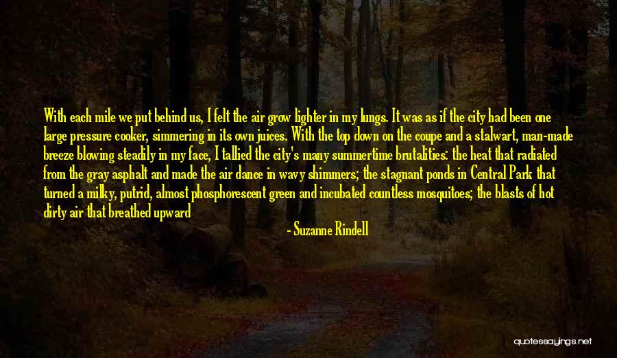 Asphalt Quotes By Suzanne Rindell