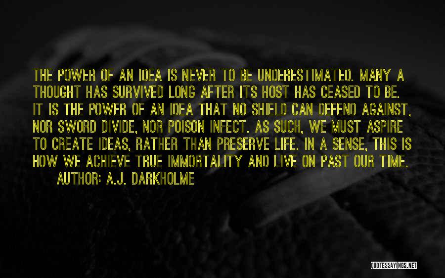 Aspire Quotes By A.J. Darkholme