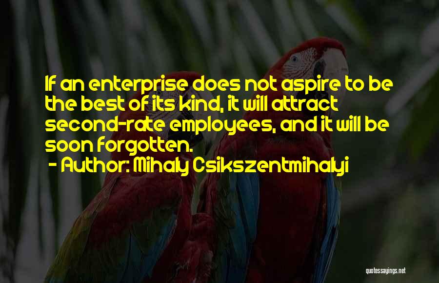 Aspire Quotes By Mihaly Csikszentmihalyi