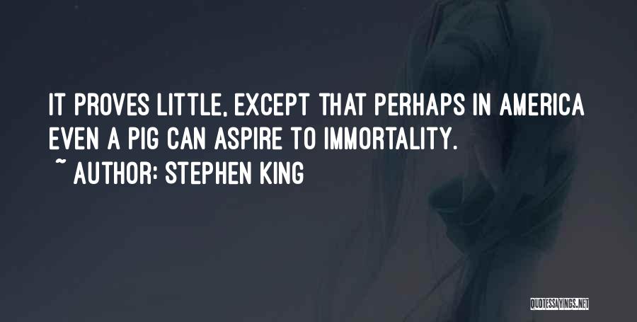Aspire Quotes By Stephen King
