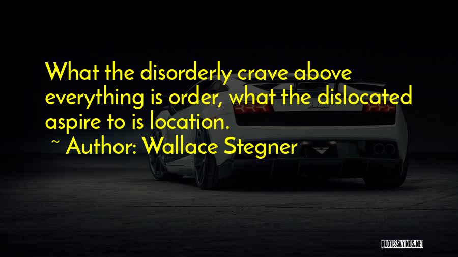 Aspire Quotes By Wallace Stegner