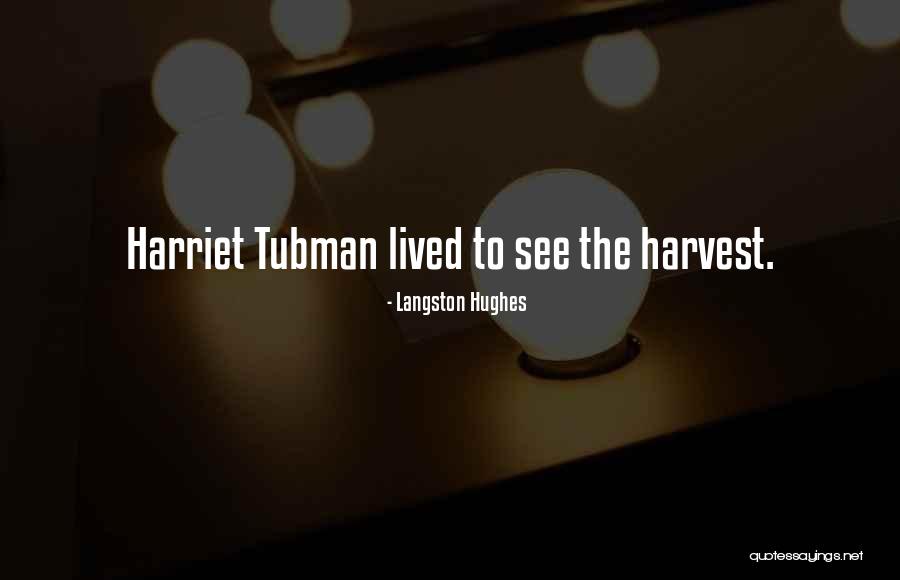 Assados Quotes By Langston Hughes Assados Quotes By Langston Hughes