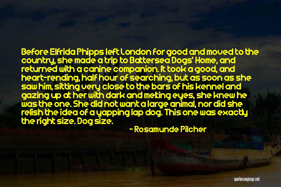 Assassin Bug Quotes By Rosamunde Pilcher Assassin Bug Quotes By Rosamunde Pilcher
