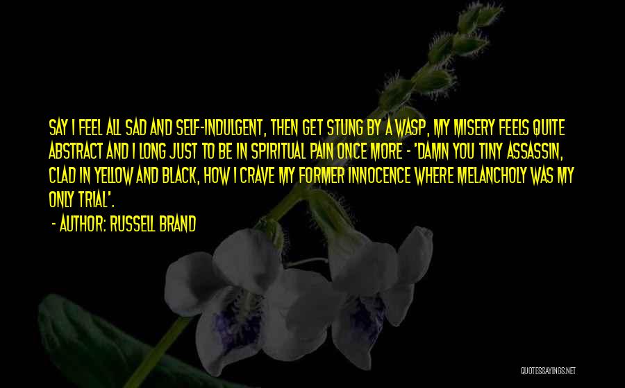 Assassin Quotes By Russell Brand